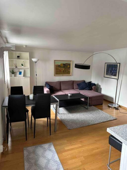 Appartamento Sentral Naer Naturomrader